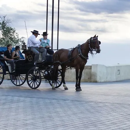 Puerta A La Mezquita * Córdoba