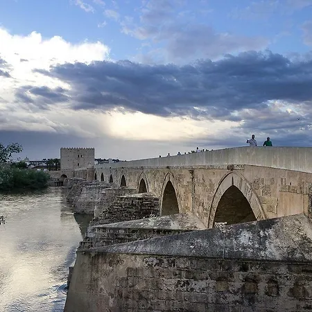 Puerta A La Mezquita شقة