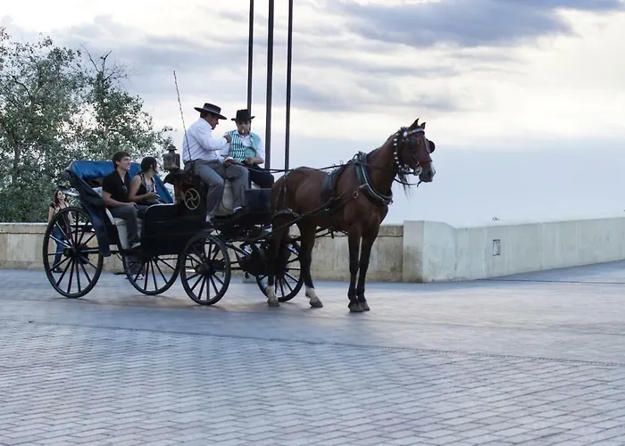 Puerta A La Mezquita * Córdoba
